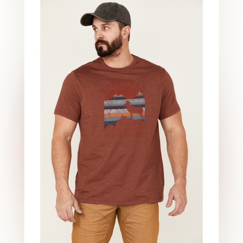 Brother and Sons National Monument Badlands Graphic Tee